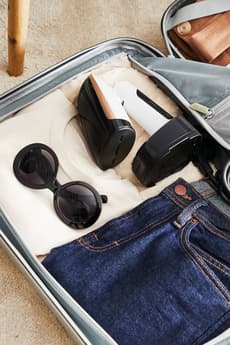 Access Steam X-cel Pocket Steamer