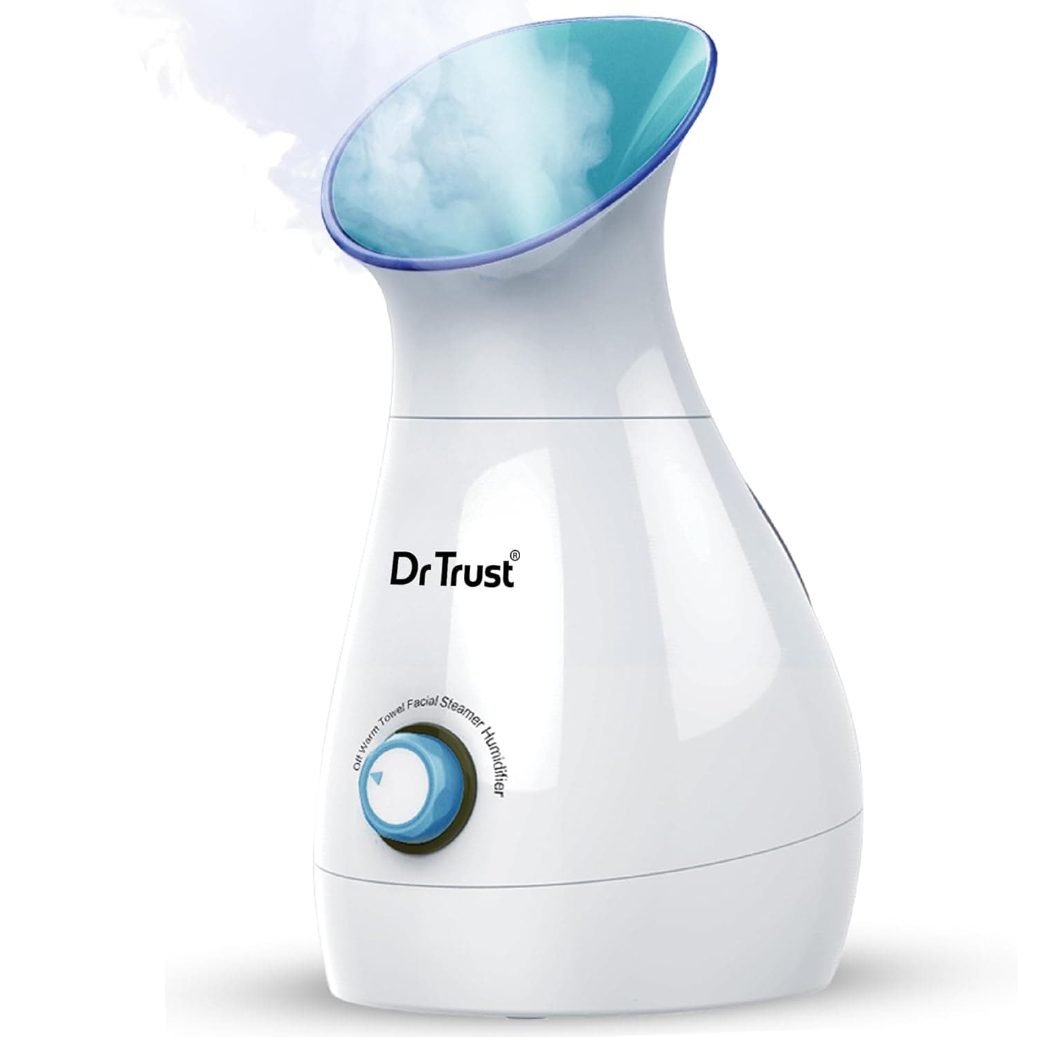Electric Facial Steamer