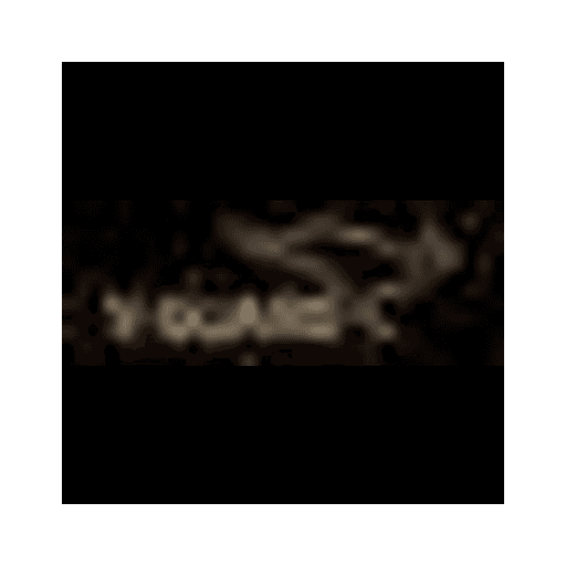 V-Guard logo