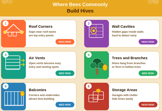 Bee removal vs extermination - safe removal practices